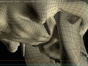 skull Modelo 3D