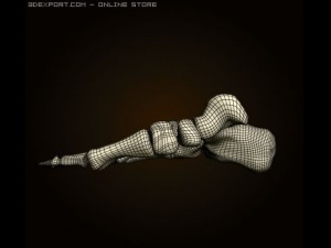 footbones 3D Model