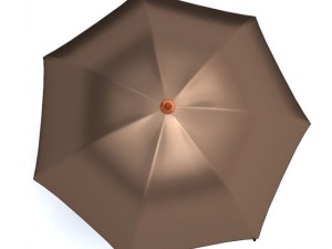 umbrella 3D 模型