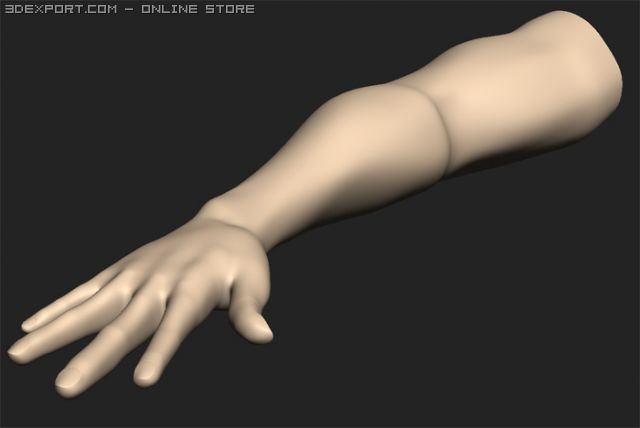 arm Modelo 3D .c4d .max .obj .3ds .fbx .stl .blend 