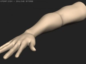 arm 3D Model