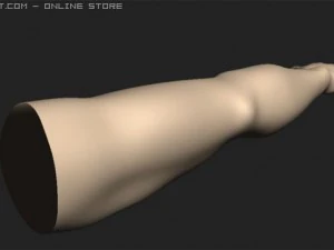 arm 3D Model