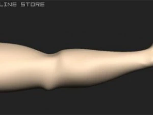 arm 3D Model