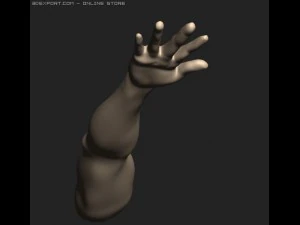 arm 3D Model