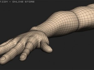 arm Modelo 3D
