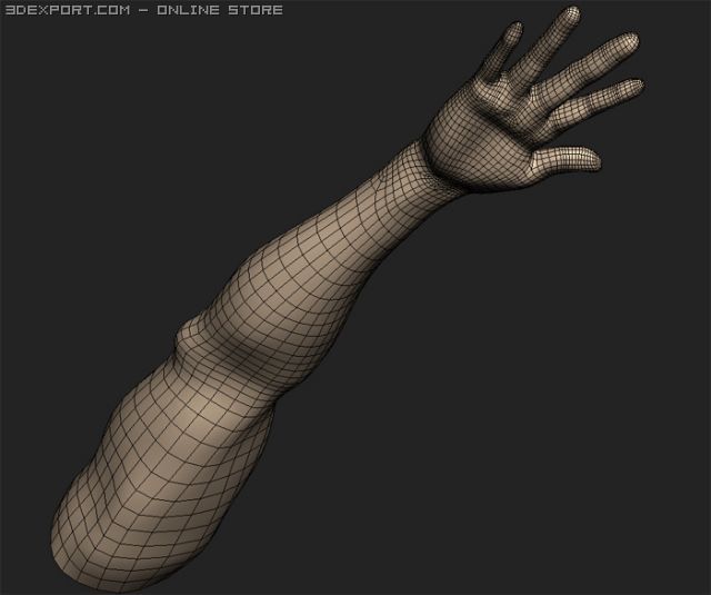 Arm 3d model