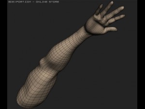 arm Modelo 3D