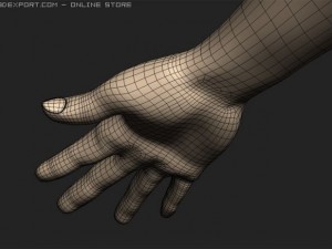 arm Modelo 3D