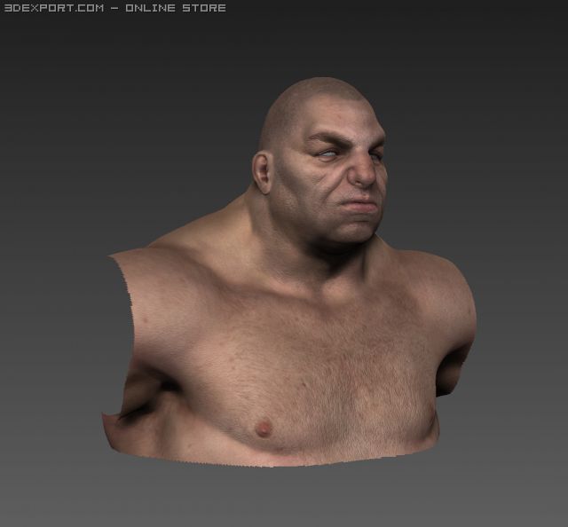 normal man02 Model 3D .c4d .max .obj .3ds .fbx .stl .blend 