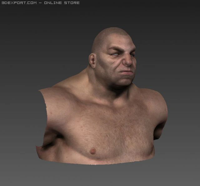 hombre normal02 Modelo 3D .c4d .max .obj .3ds .fbx .stl .blend 