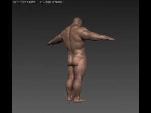 hombre normal02 Modelo 3D