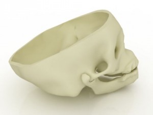 human skull 3D Model