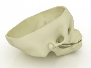 human skull 3D Model