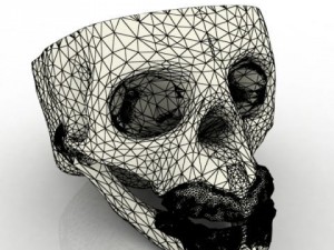 human skull 3D 模型