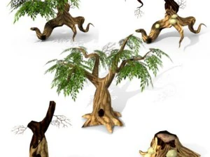 insieme dell'albero Modello 3D