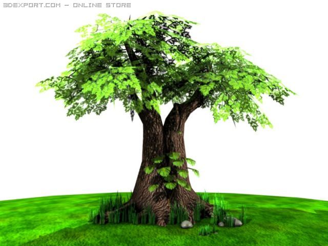 large tree and monstera plant Modello 3D .c4d .max .obj .3ds .fbx .stl .blend
