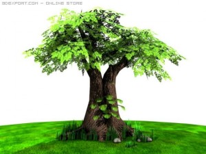 large tree and monstera plant Modello 3D