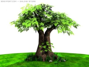 grote boom en monsteraplant 3D Model