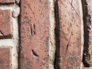 bricks 15 CG Textures