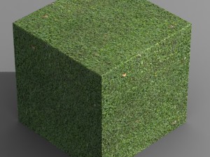 grass 01 CG 텍스쳐