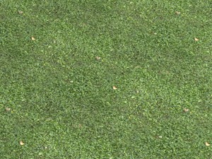 grass 01 CG 텍스쳐