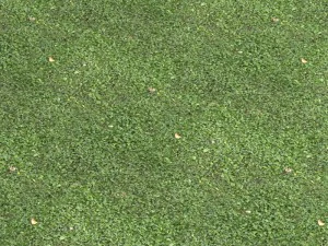 grass 01 CG Textures