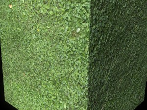 grass 01 CG 텍스쳐
