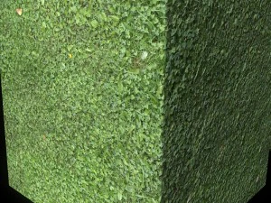 grass 01 CG Textures