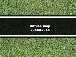 grass 01 CG 텍스쳐
