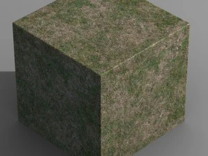 grass 02 CG Textures