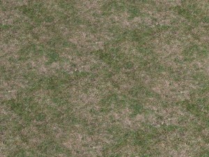 grass 02 CG टेक्स्चर्स