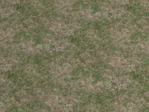 grass 02 CG Textures