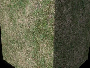grass 02 CG Textures