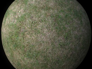 grass 02 CG टेक्स्चर्स