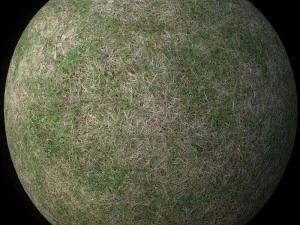 grass 02 CG Textures