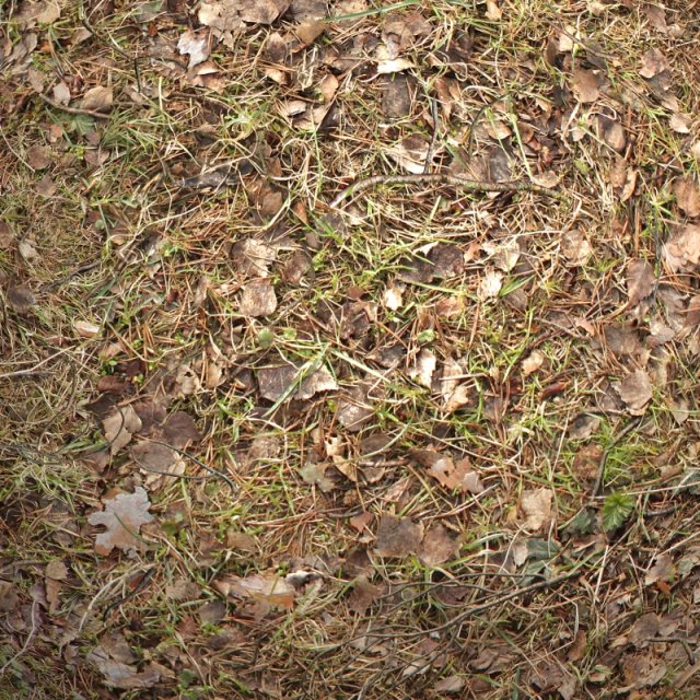 ground 01 CG Текстури .c4d .max .obj .3ds .fbx .stl .blend 
