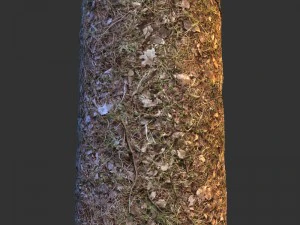 земля 01 CG Текстури