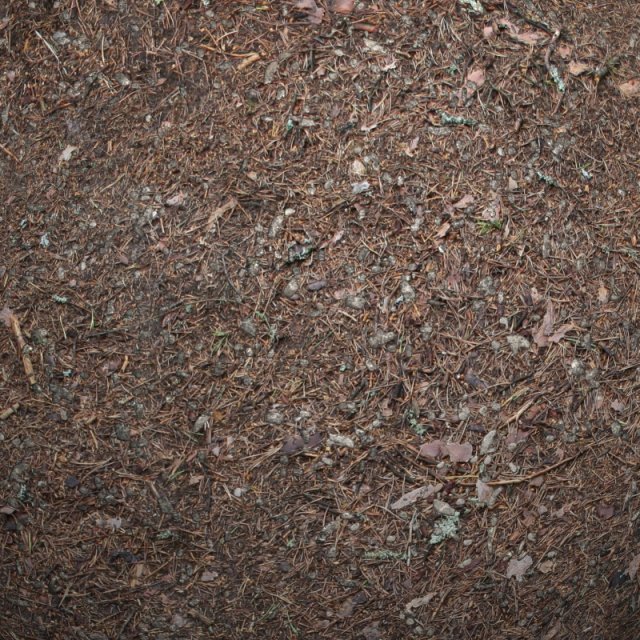 ground 02 Tekstur CG .c4d .max .obj .3ds .fbx .stl .blend