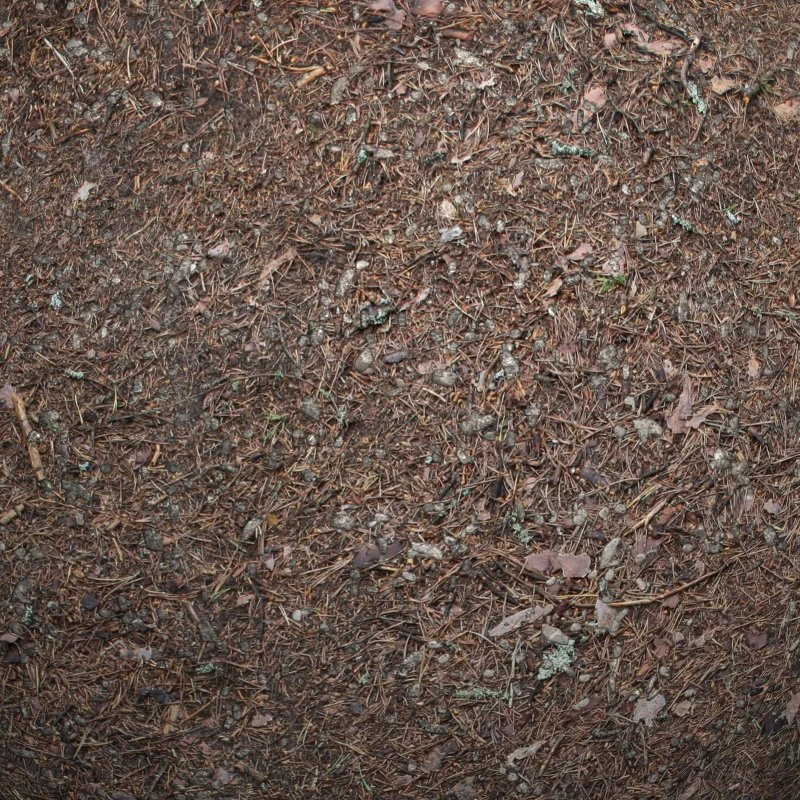 ground 02 CG Textures .c4d .max .obj .3ds .fbx .stl .blend 