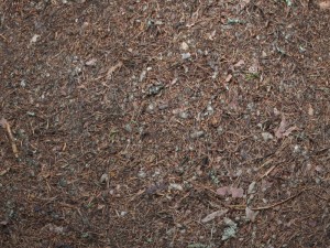 ground 02 Texturas CG