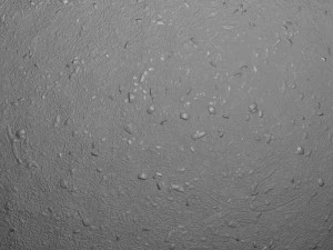 ground 02 CG Textures