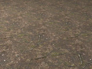 ground 03 CG Textures