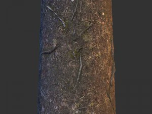 ground 03 CG Textures
