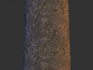ground 03 CG Textures