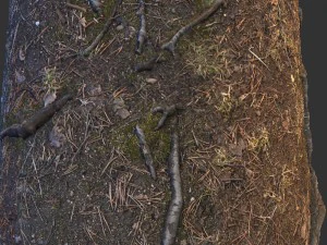 ground 03 CG Textures