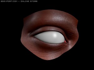 realistic eye occhio Modèle 3D