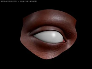 realistische oogocchio 3D Model