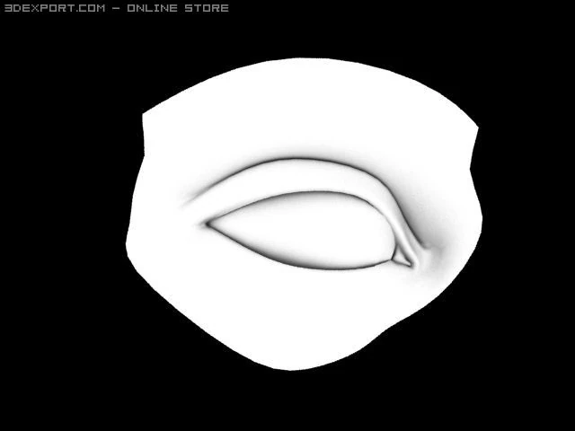 realistic eye 3D Model .c4d .max .obj .3ds .fbx .stl .blend 