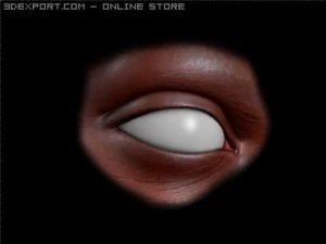 realistic eye 3D Model