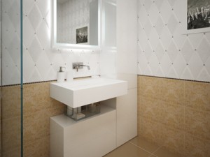 compact bathroom Modèle 3D